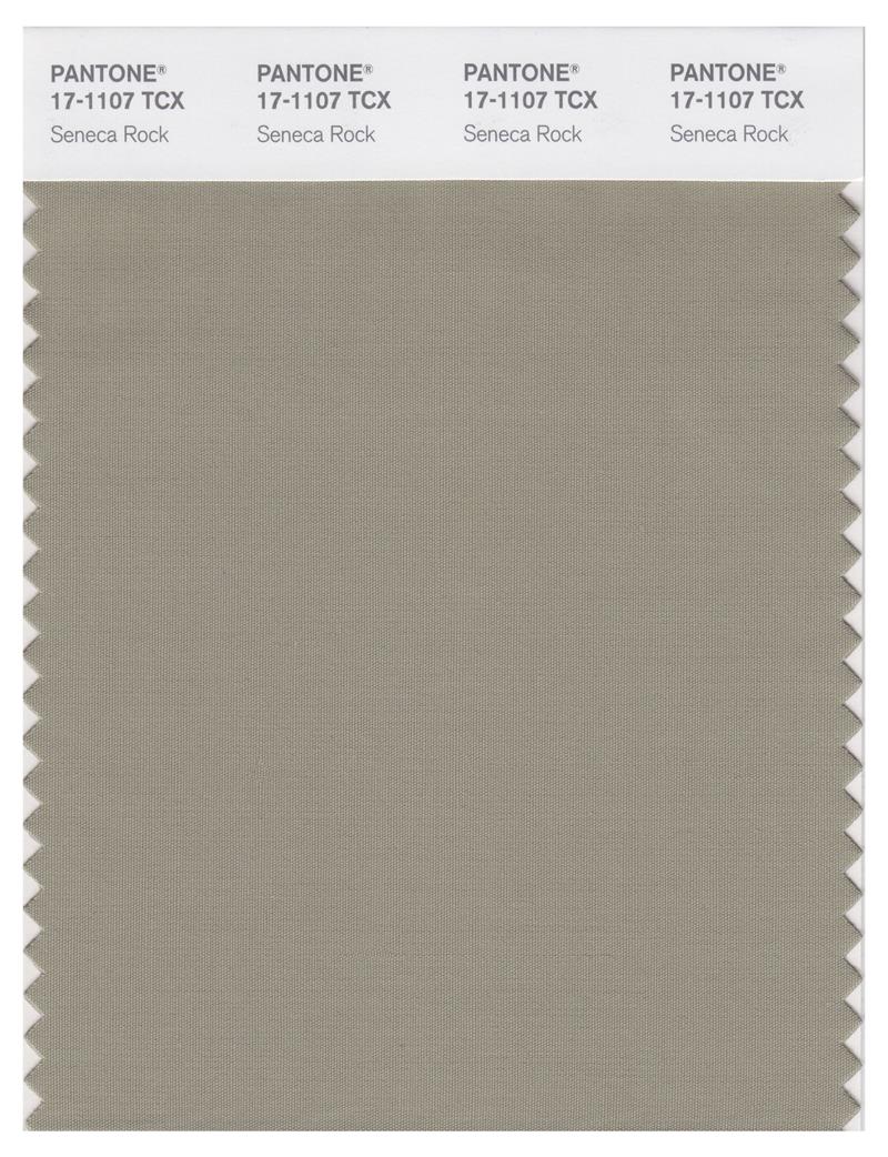 Pantone Smart 17-1107 TCX Color Swatch Card | Seneca Rock 