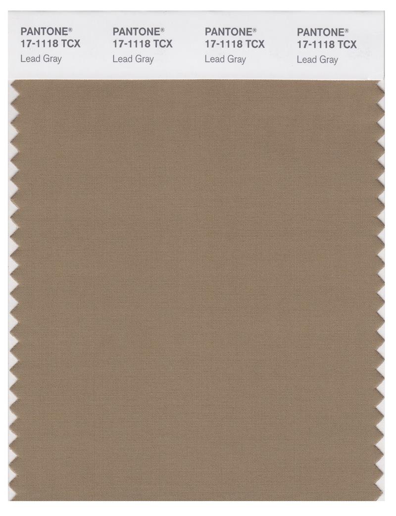 Pantone Smart 17-1118 TCX Color Swatch Card | Lead Gray 