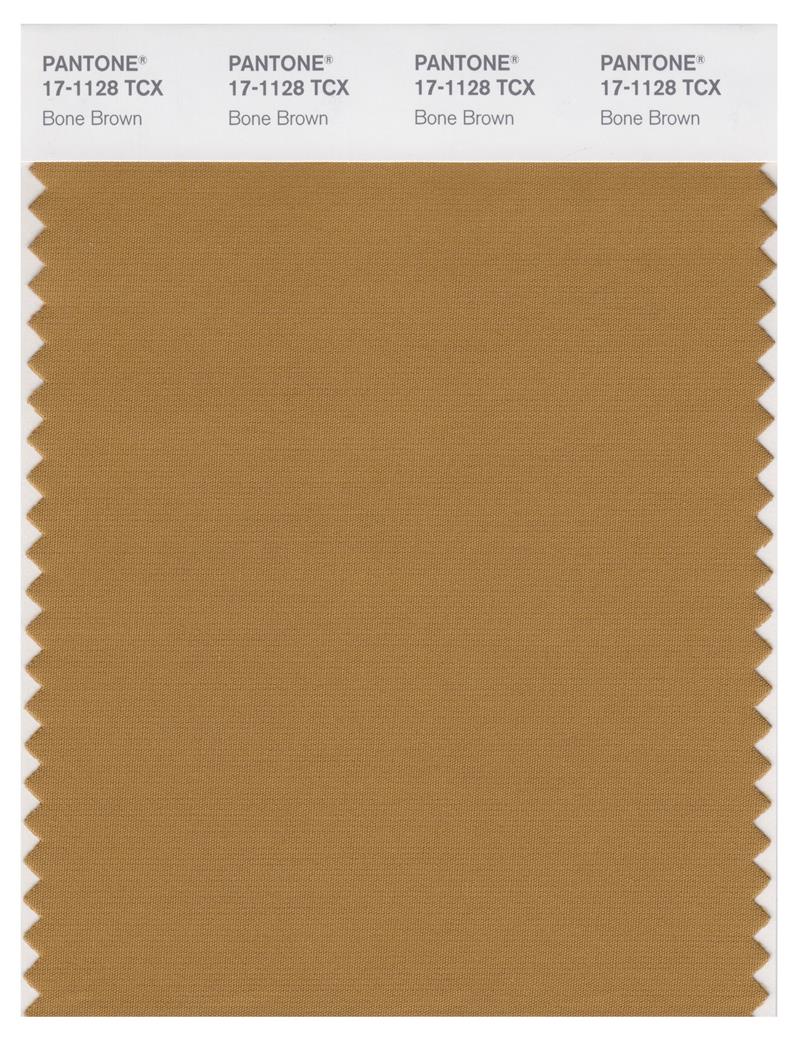 Pantone Smart 17-1128 TCX Color Swatch Card | Bone Brown 