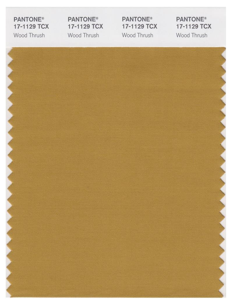 Pantone Smart 17-1129 TCX Color Swatch Card | Wood Thrush 