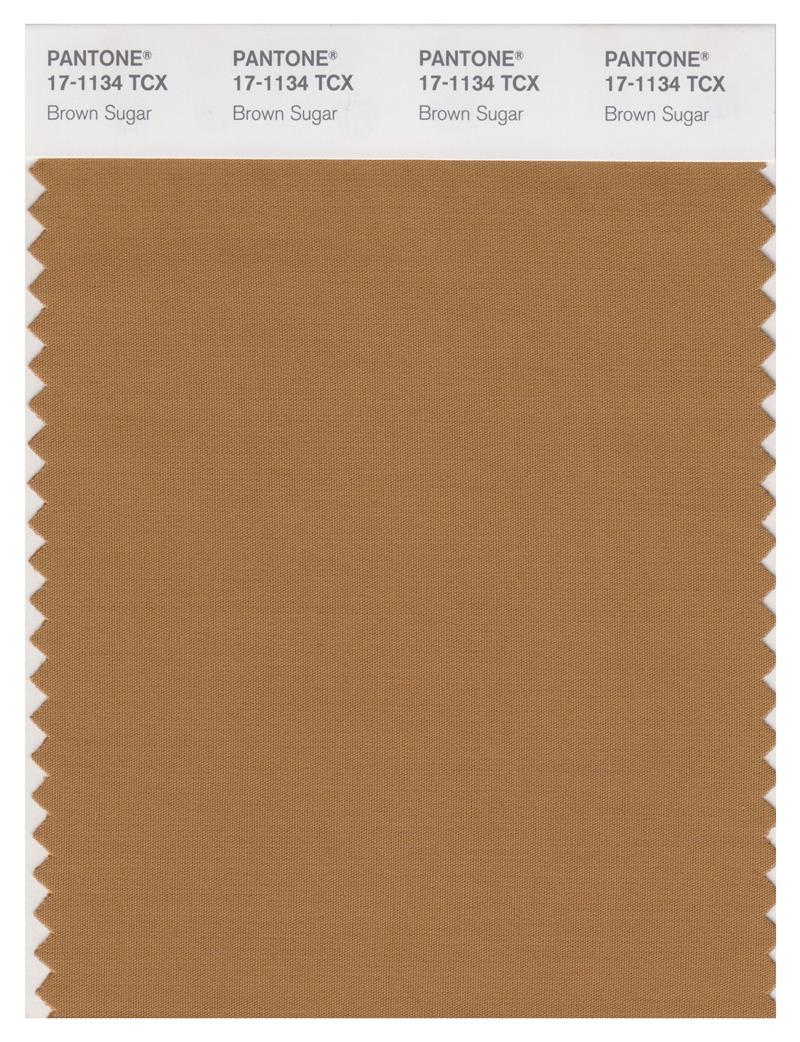 Pantone Smart 17-1134 TCX Color Swatch Card | Brown Sugar 