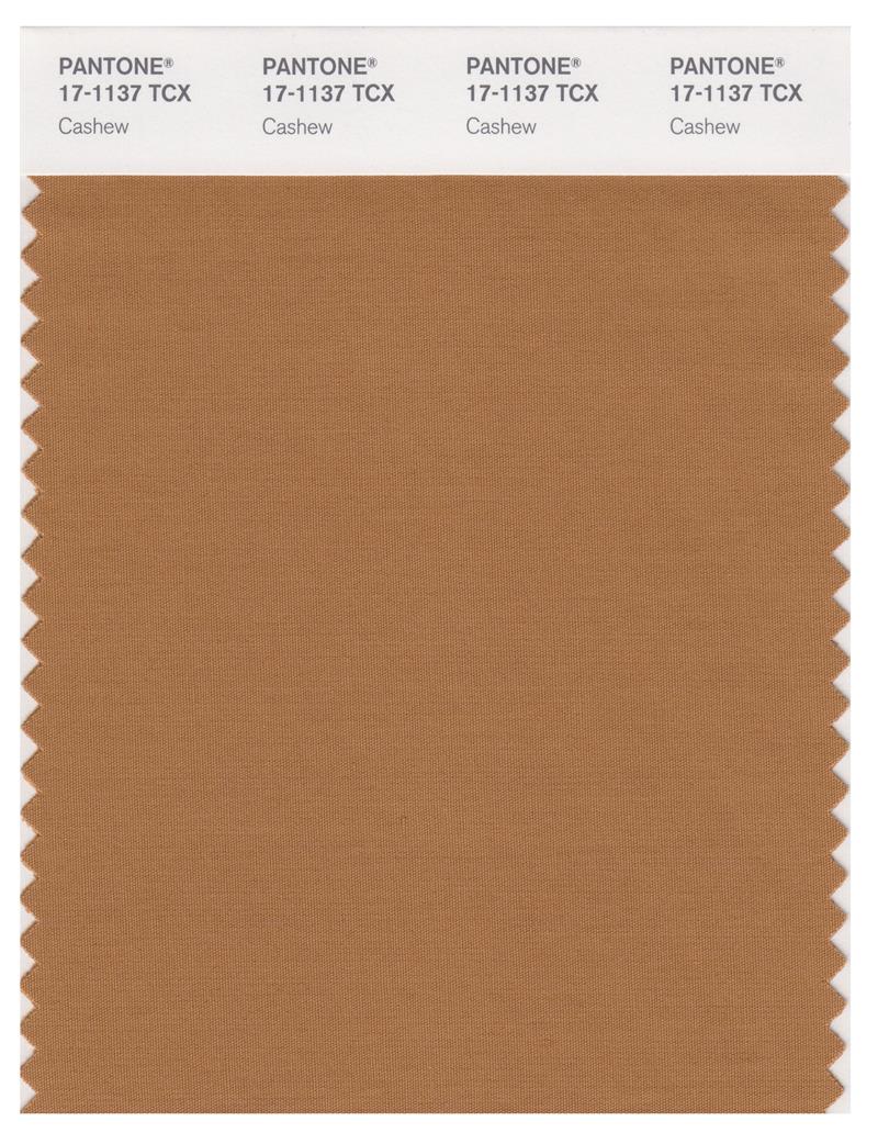 Pantone Smart 17-1137 TCX Color Swatch Card | Cashew 