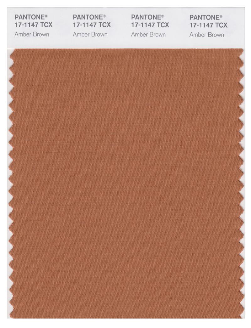 Pantone Smart 17-1147 TCX Color Swatch Card | Amber Brown 