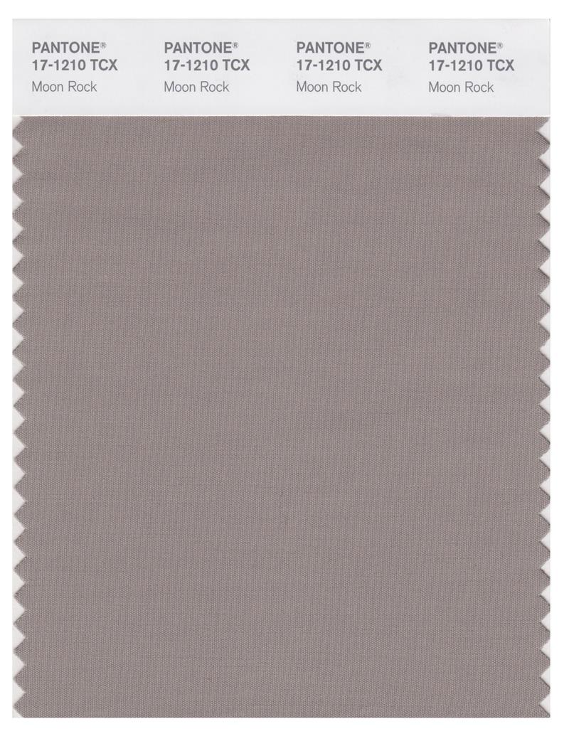 Pantone Smart 17-1210 TCX Color Swatch Card | Moon Rock 