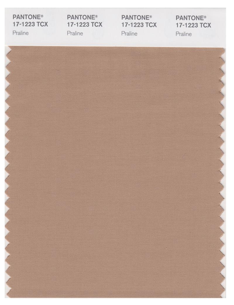 Pantone Smart 17-1223 TCX Color Swatch Card | Praline 