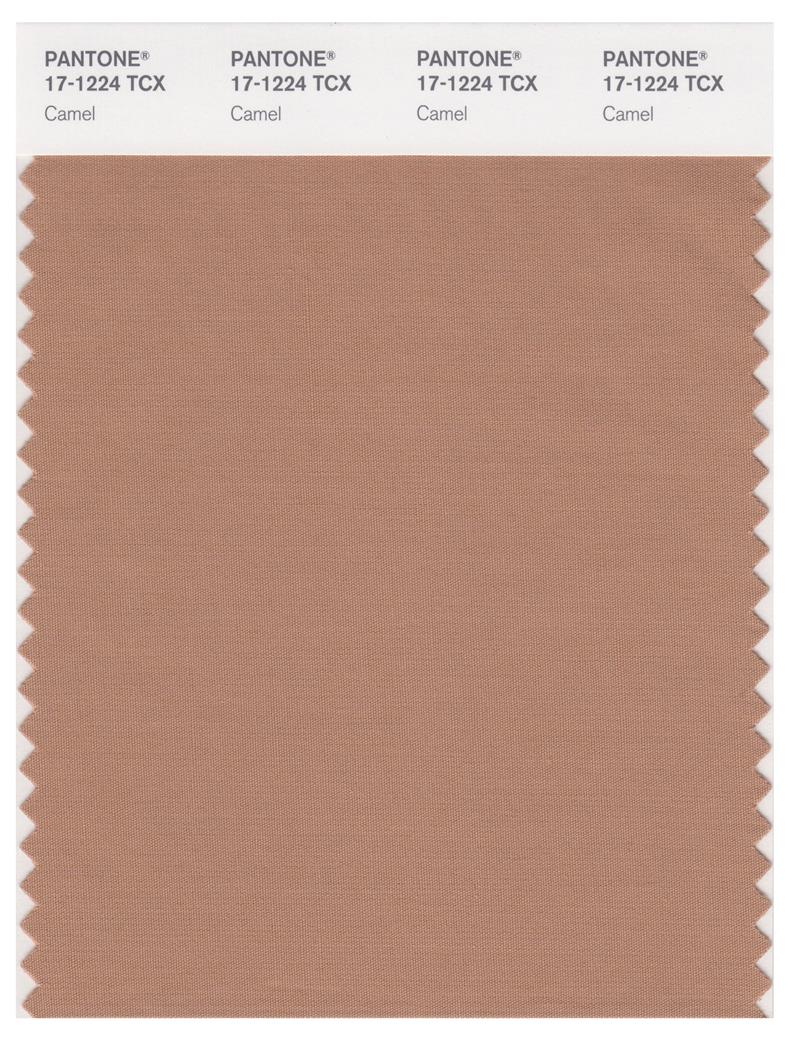 Pantone Smart 17-1224 TCX Color Swatch Card | Camel 