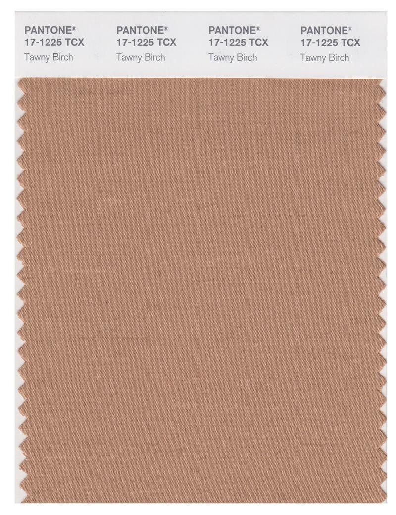 Pantone Smart 17-1225 TCX Color Swatch Card | Tawny Birch 