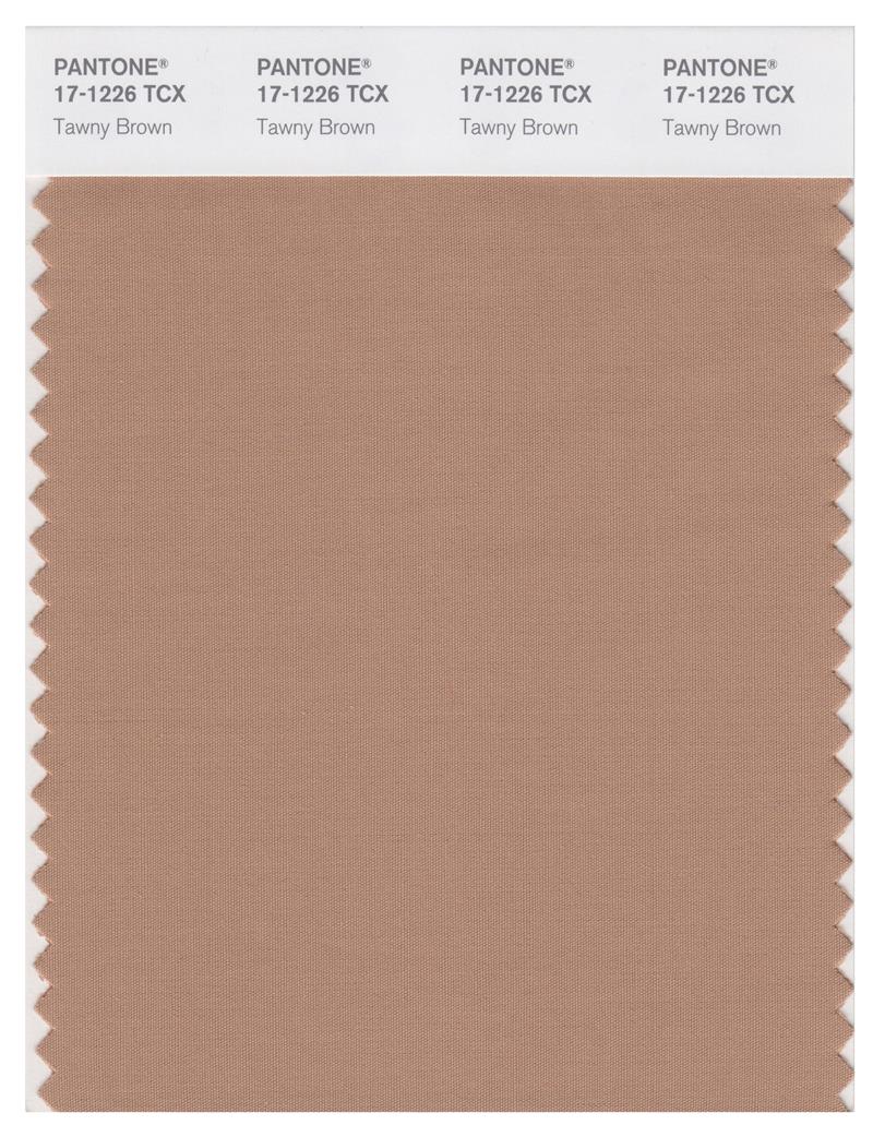 Pantone Smart 17-1226 TCX Color Swatch Card | Tawny Brown 