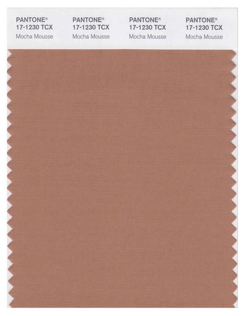 Pantone Smart 17-1230 TCX Color Swatch Card | Mocha Mousse 