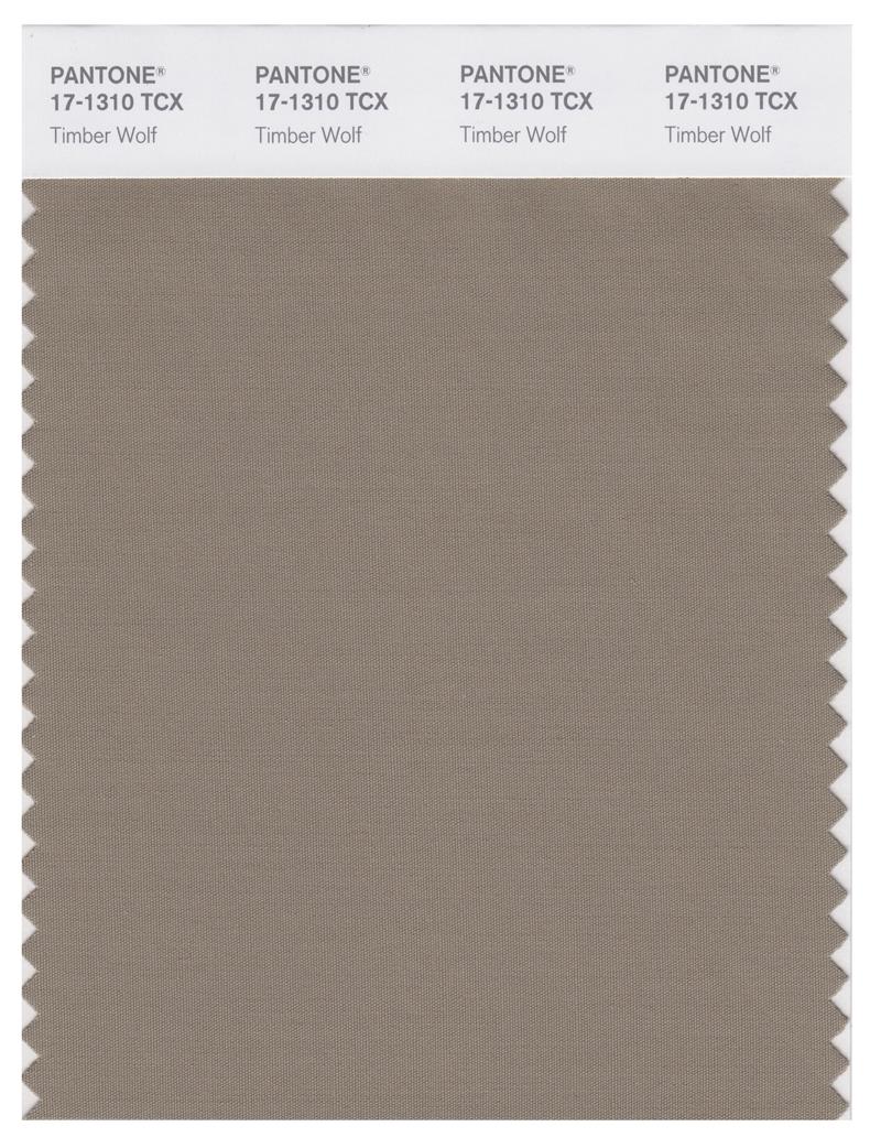 Pantone Smart 17-1310 TCX Color Swatch Card | Timber Wolf 