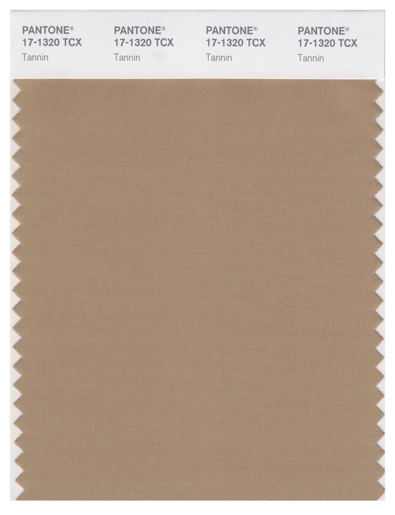 Pantone Smart 17-1320 TCX Color Swatch Card | Tannin 