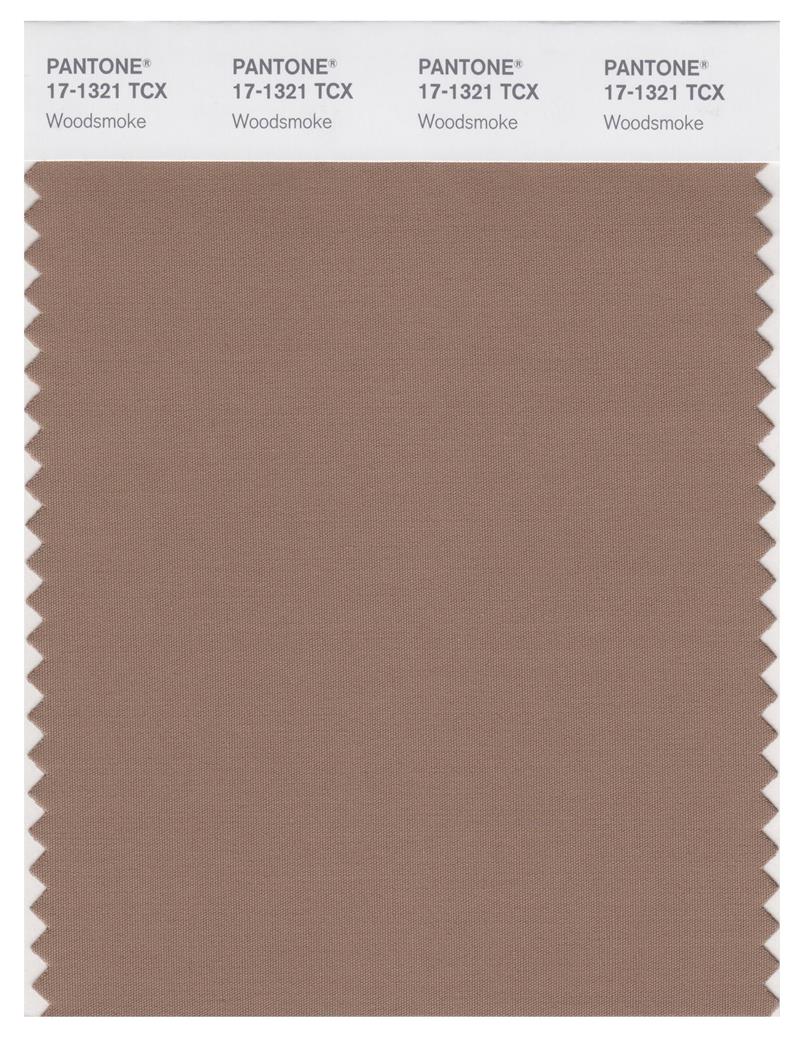 Pantone Smart 17-1321 TCX Color Swatch Card | Woodsmoke 