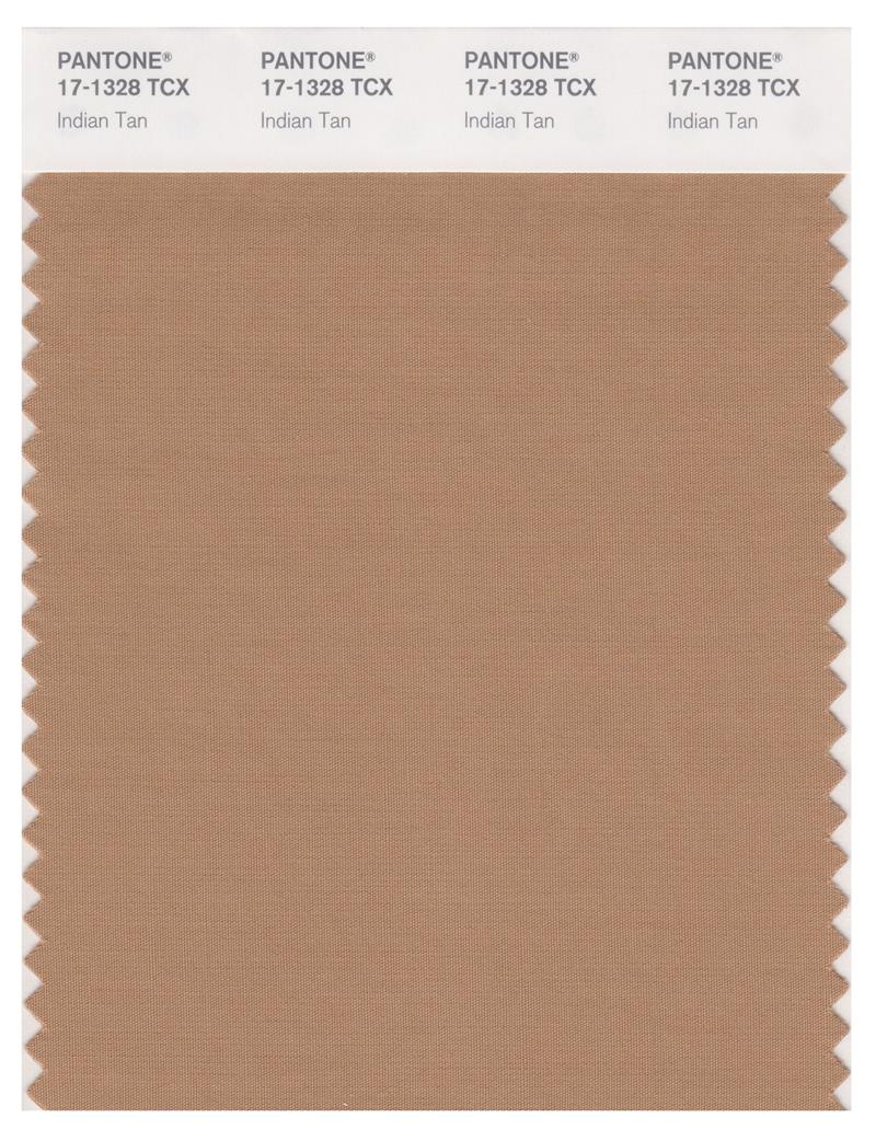 Pantone Smart 17-1328 TCX Color Swatch Card | Indian Tan 