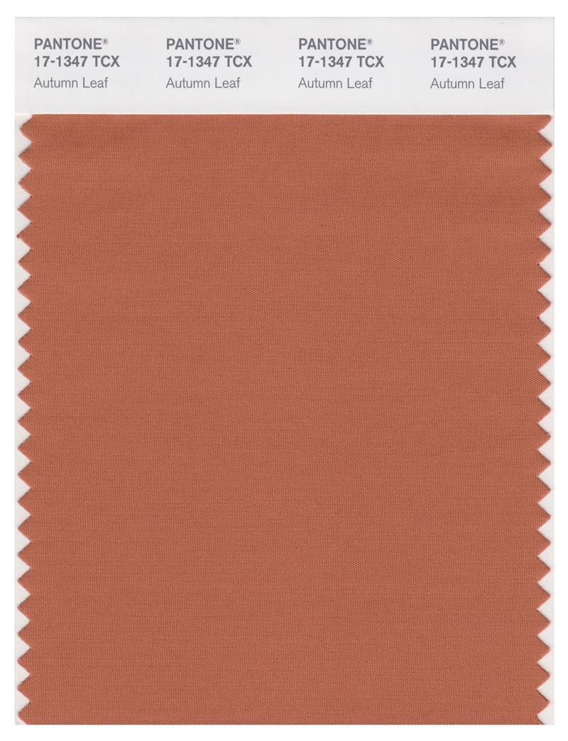 Pantone Smart 17-1347 TCX Color Swatch Card | Autumn Leaf 