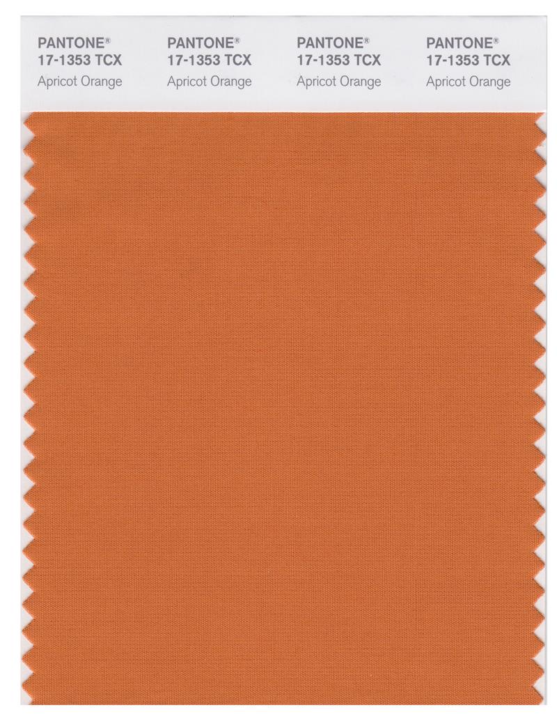 Pantone Smart 17-1353 TCX Color Swatch Card | Apricot Orange 