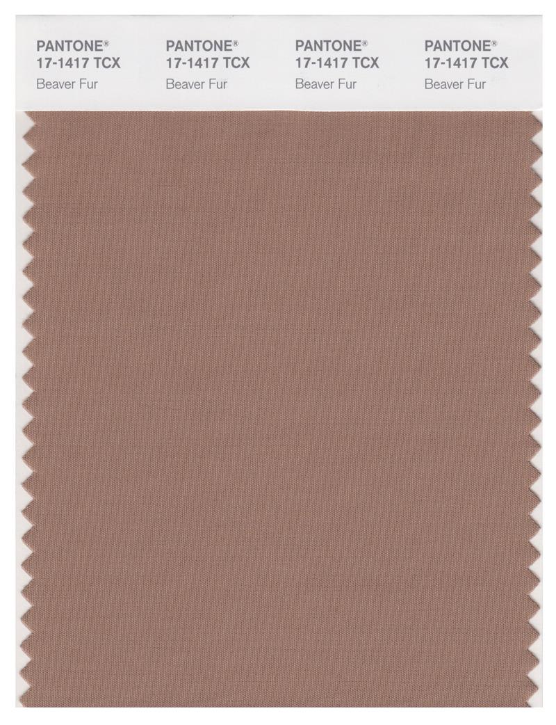 Pantone Smart 17-1417 TCX Color Swatch Card | Beaver Fur 