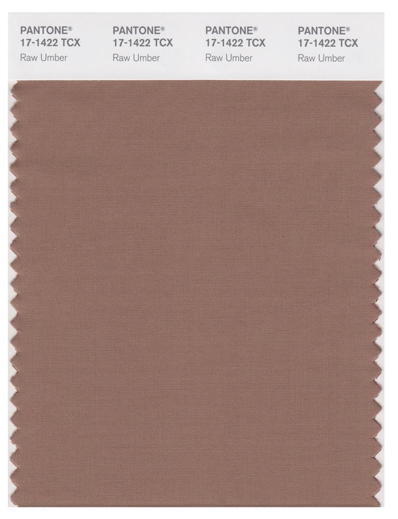 Pantone Smart 17-1422 TCX Color Swatch Card | Raw Umber 