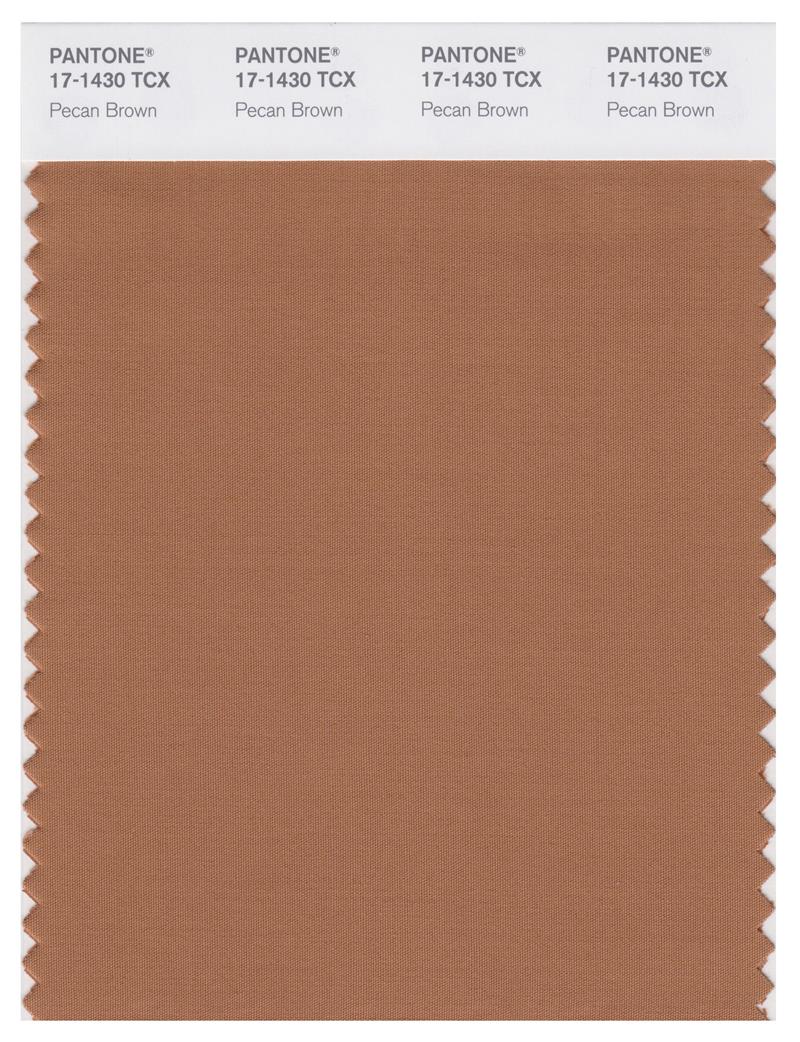 Pantone Smart 17-1430 TCX Color Swatch Card | Pecan Brown 