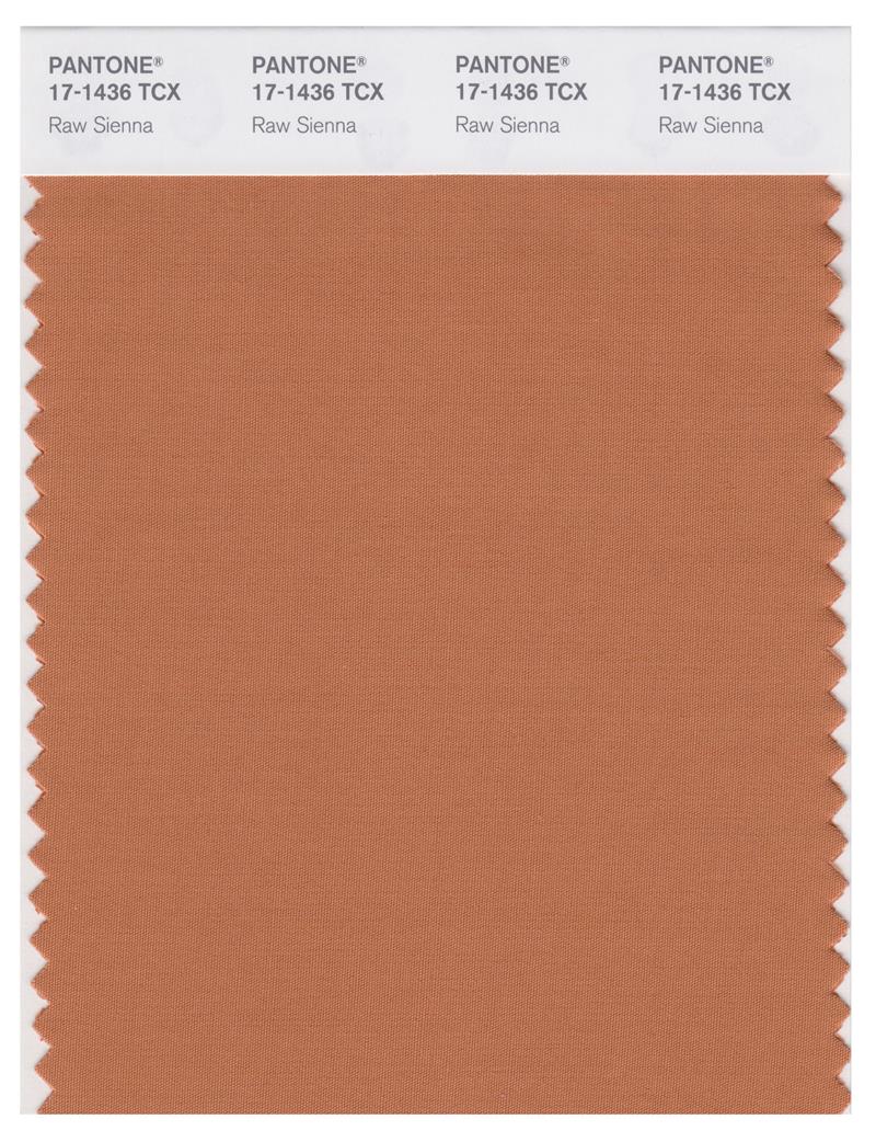 Pantone Smart 17-1436 TCX Color Swatch Card | Raw Sienna 