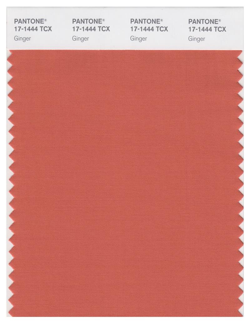 Pantone Smart 17-1444 TCX Color Swatch Card | Ginger 