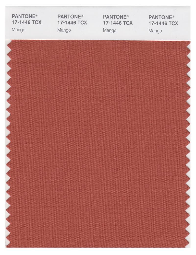 Pantone Smart 17-1446 TCX Color Swatch Card | Mango 