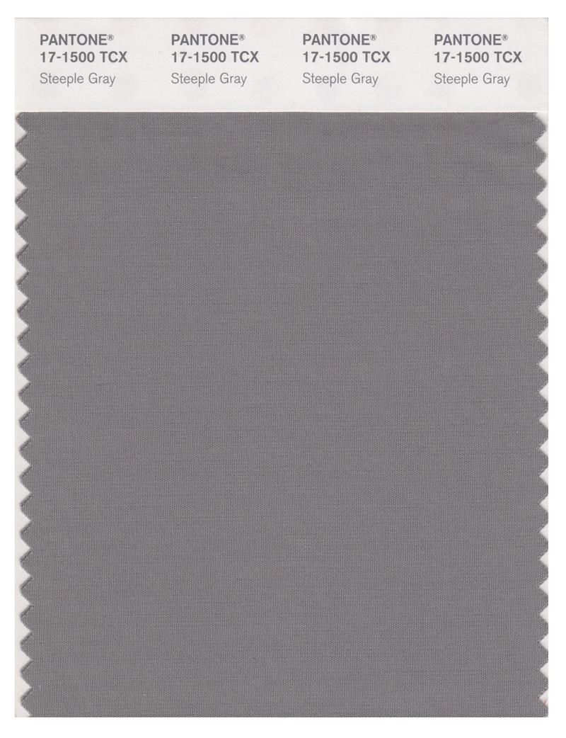 Pantone Smart 17-1500 TCX Color Swatch Card | Steeple Gray 