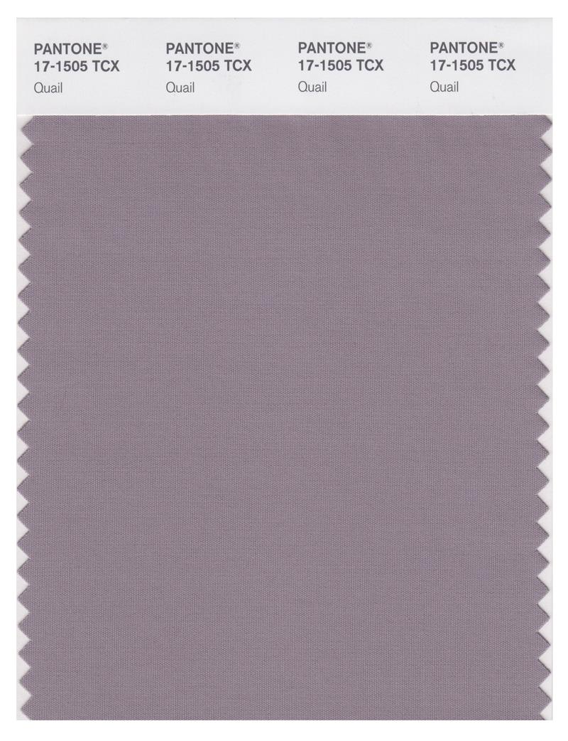 Pantone Smart 17-1505 TCX Color Swatch Card | Quail 