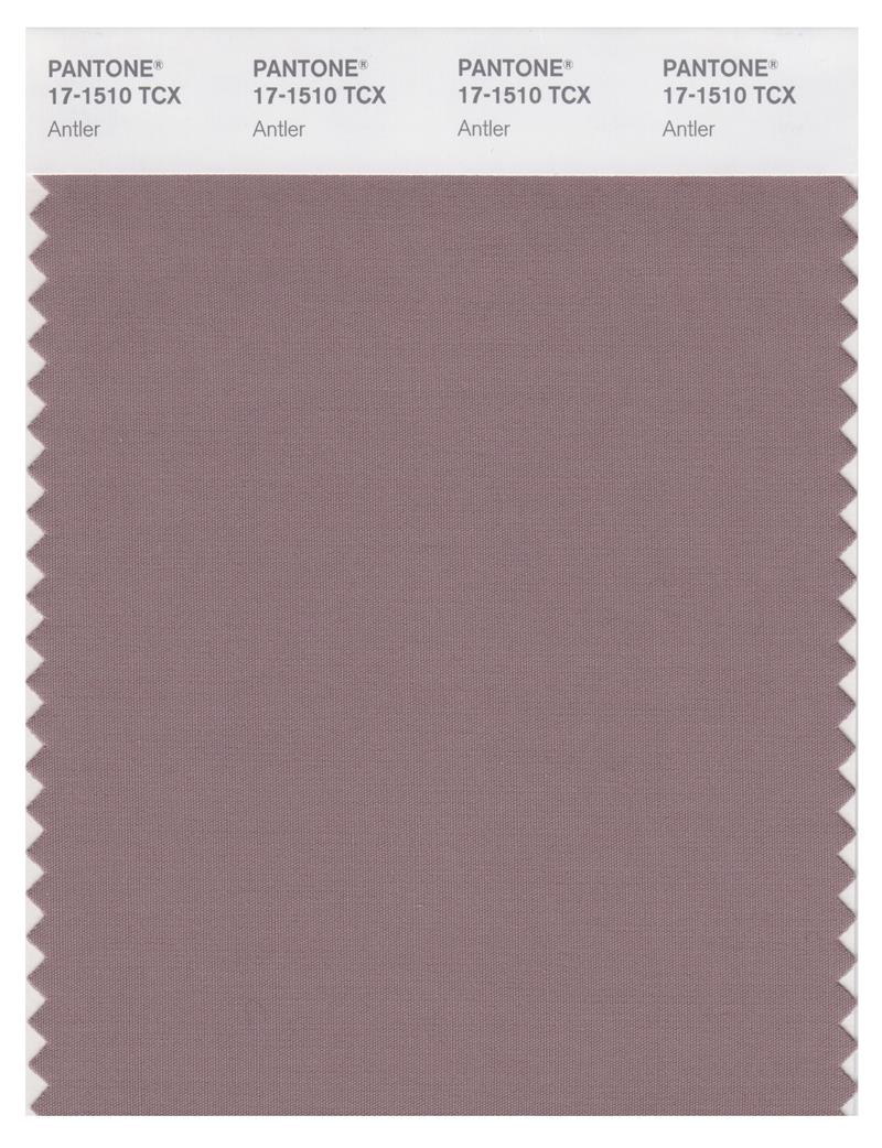 Pantone Smart 17-1510 TCX Color Swatch Card | Antler 