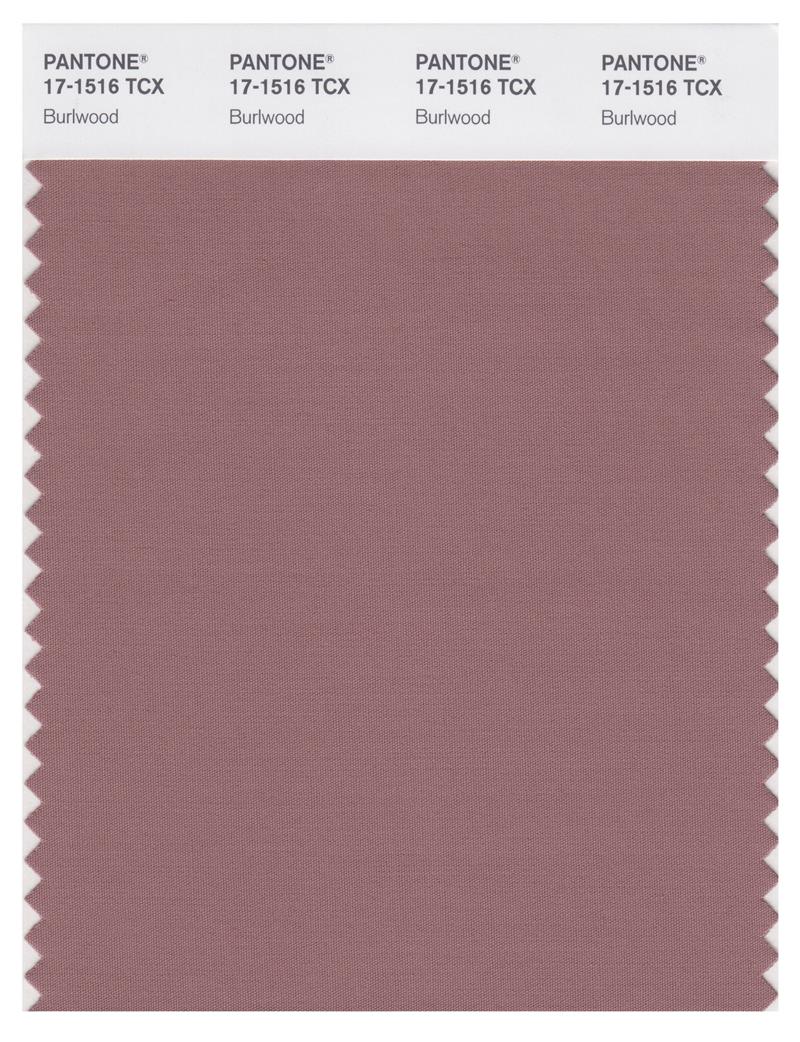 Pantone Smart 17-1516 TCX Color Swatch Card | Burlwood 