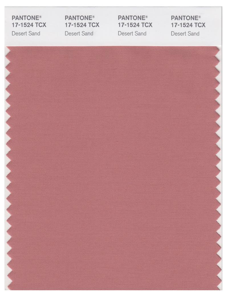 Pantone Smart 17-1524 TCX Color Swatch Card | Desert Sand 