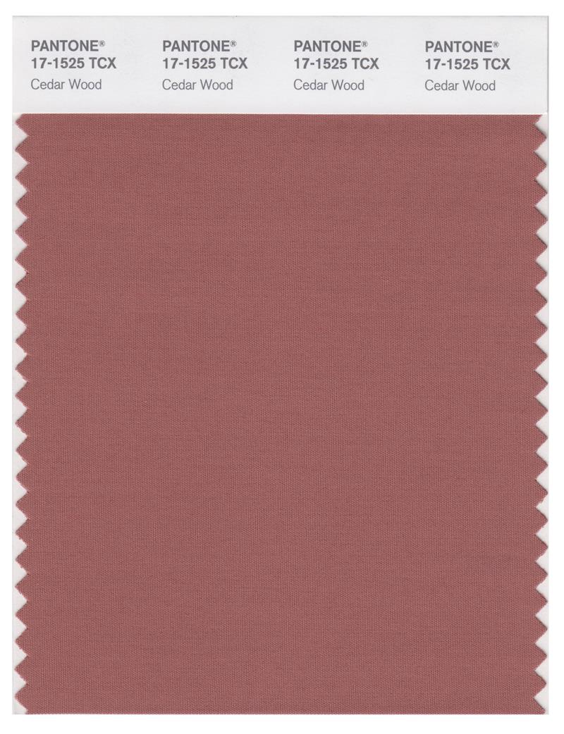 Pantone Smart 17-1525 TCX Color Swatch Card | Cedar Wood 