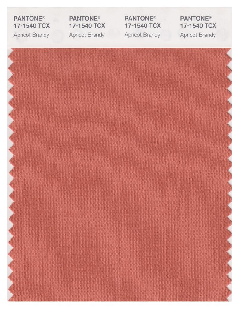 Pantone Smart 17-1540 TCX Swatch Card | Apricot Brandy 