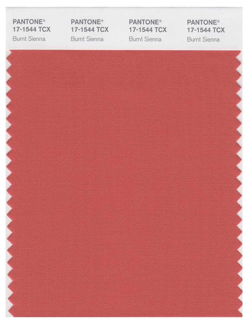 Pantone Smart 17-1544 TCX Color Swatch Card | Burnt Sienna 