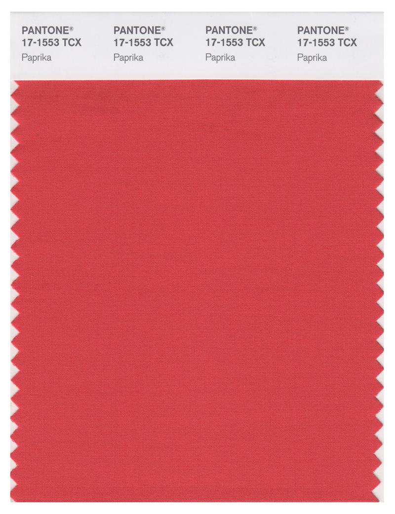 Pantone Smart 17-1553 TCX Color Swatch Card | Paprika 