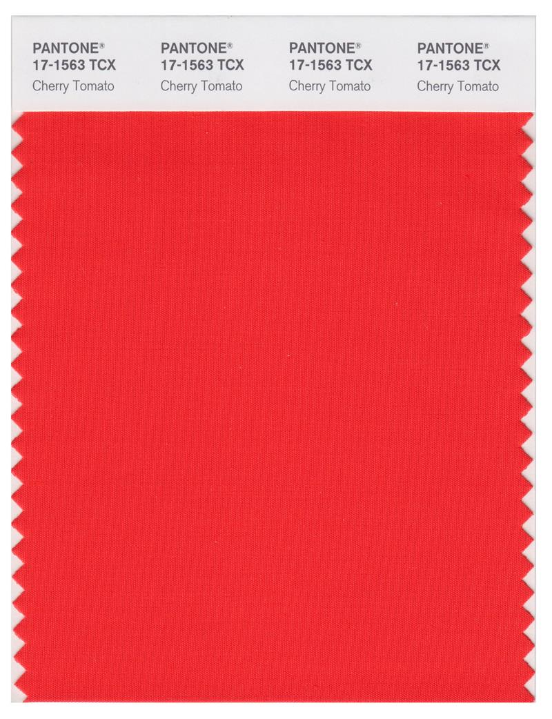 Pantone Smart 17-1563 TCX Color Swatch Card | Cherry Tomato 