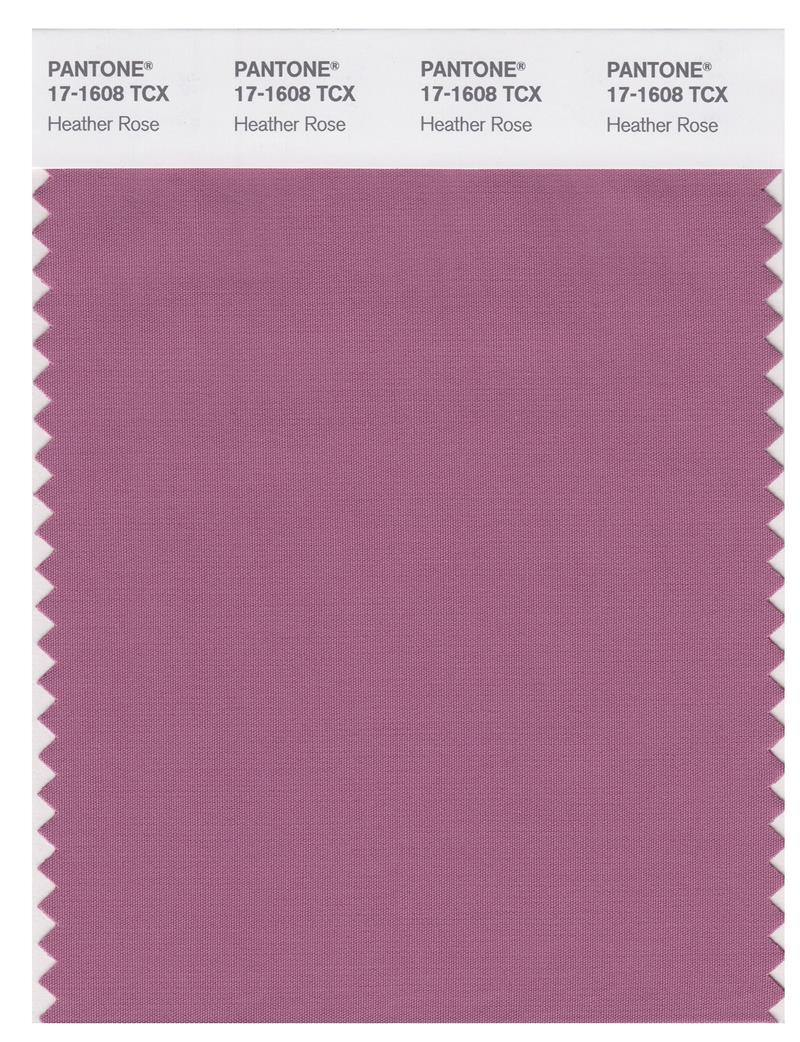 Pantone Smart 17-1608 TCX Color Swatch Card | Heather Rose 