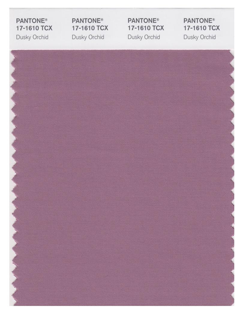 Pantone Smart 17-1610 TCX Color Swatch Card | Dusky Orchid 