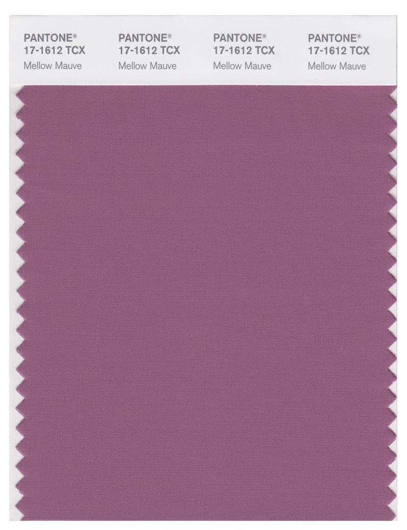 Pantone Smart 17-1612 TCX Color Swatch Card | Mellow Mauve 