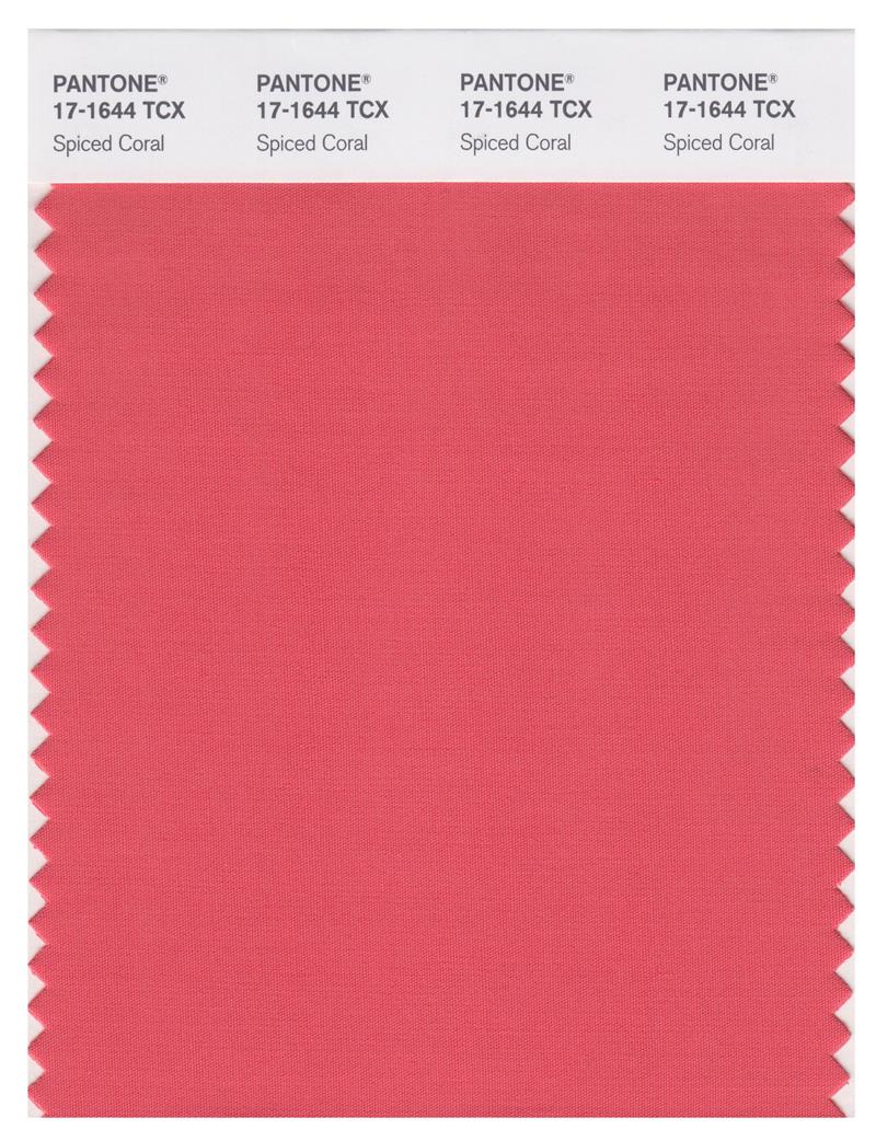 Pantone Smart 17-1644 TCX Color Swatch Card | Spiced Coral 