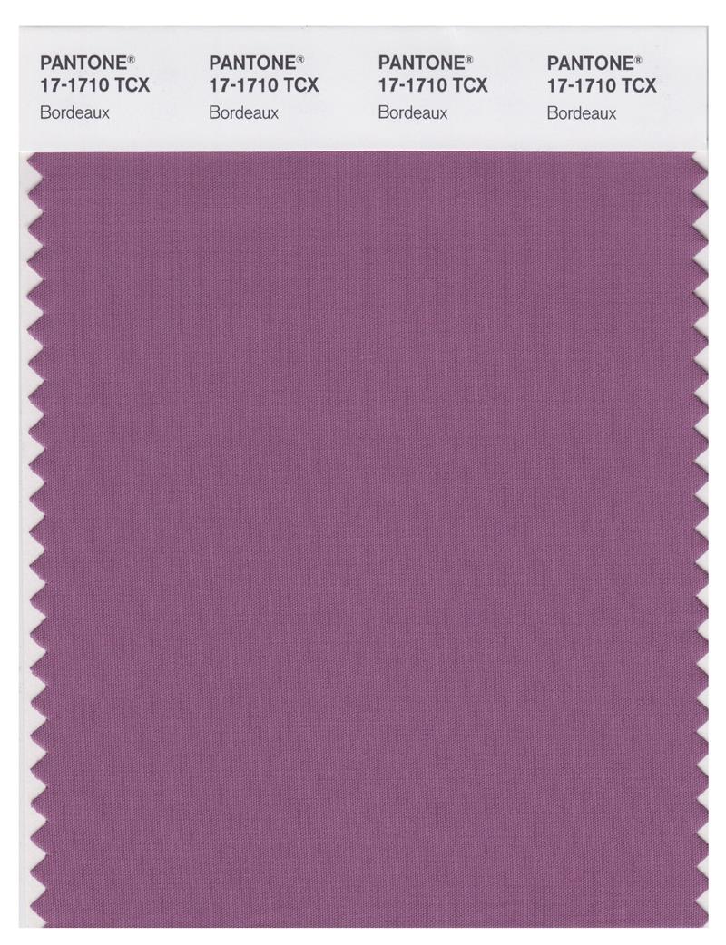 Pantone Smart 17-1710 TCX Color Swatch Card | Bordeaux 