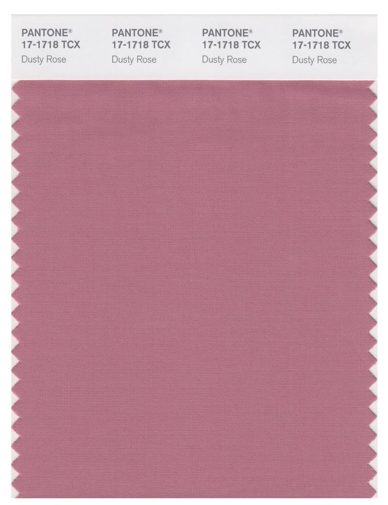 Pantone Smart 17-1718 TCX Color Swatch Card | Dusty Rose 