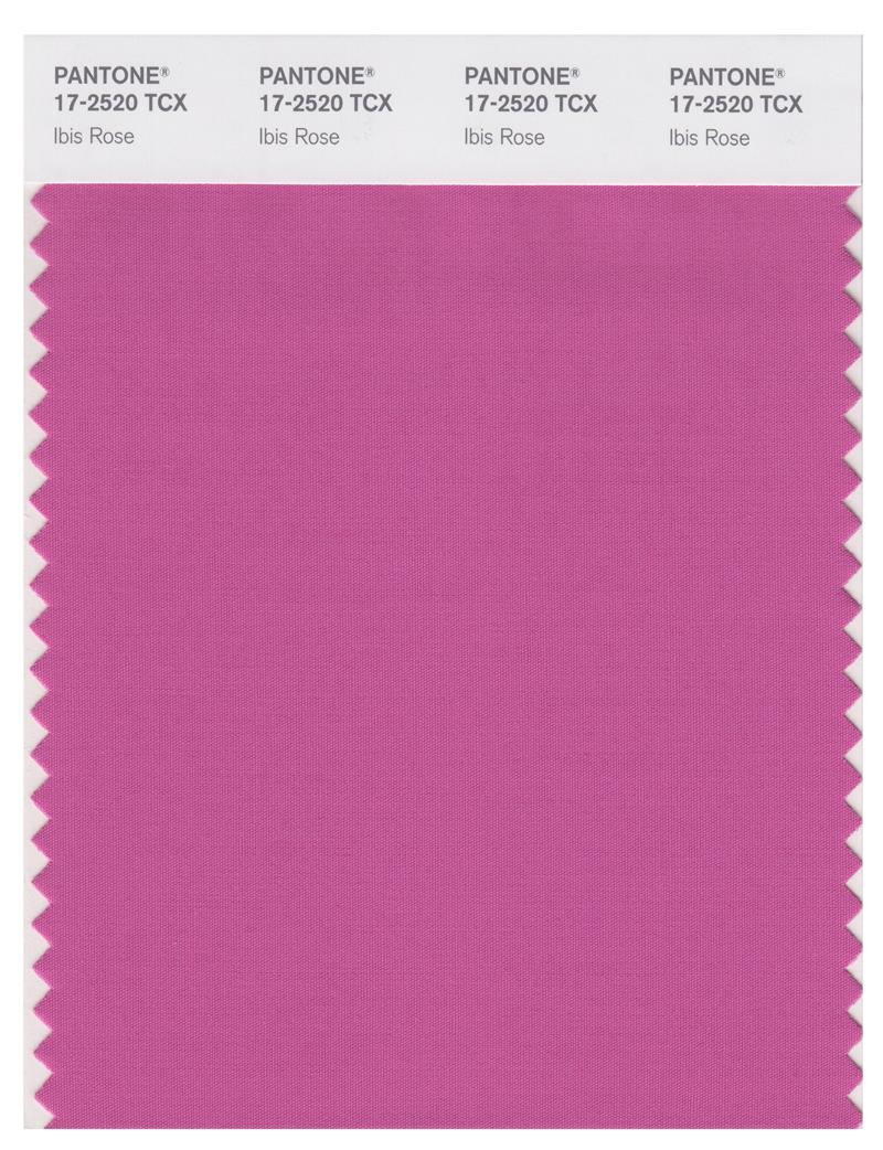 Pantone Smart 17-2520 TCX Color Swatch Card | Ibis Rose 