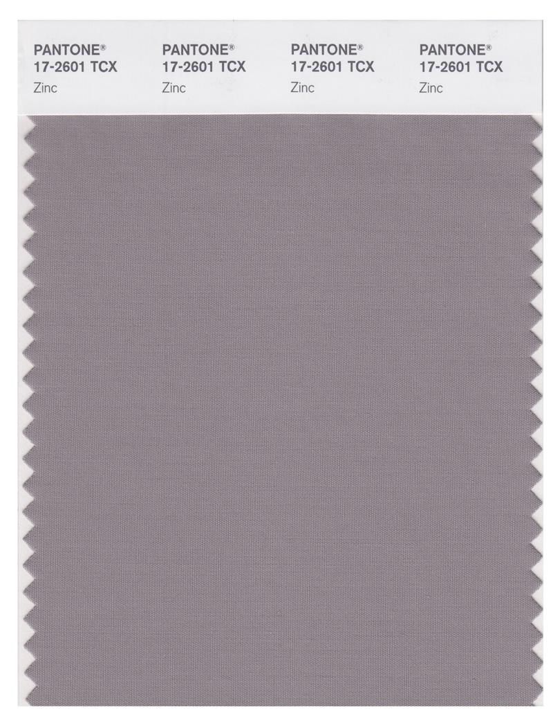 Pantone Smart 17-2601 TCX Color Swatch Card | Zinc 