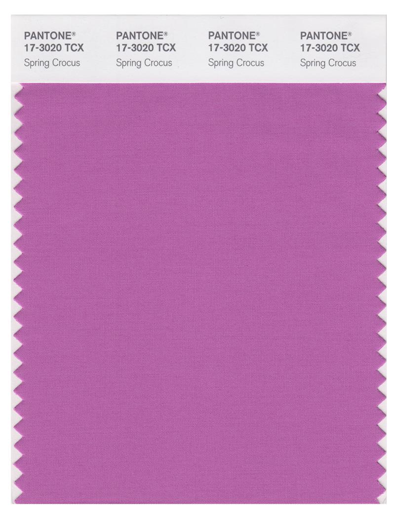 Pantone Smart 17-3020 TCX Color Swatch Card | Spring Crocus 