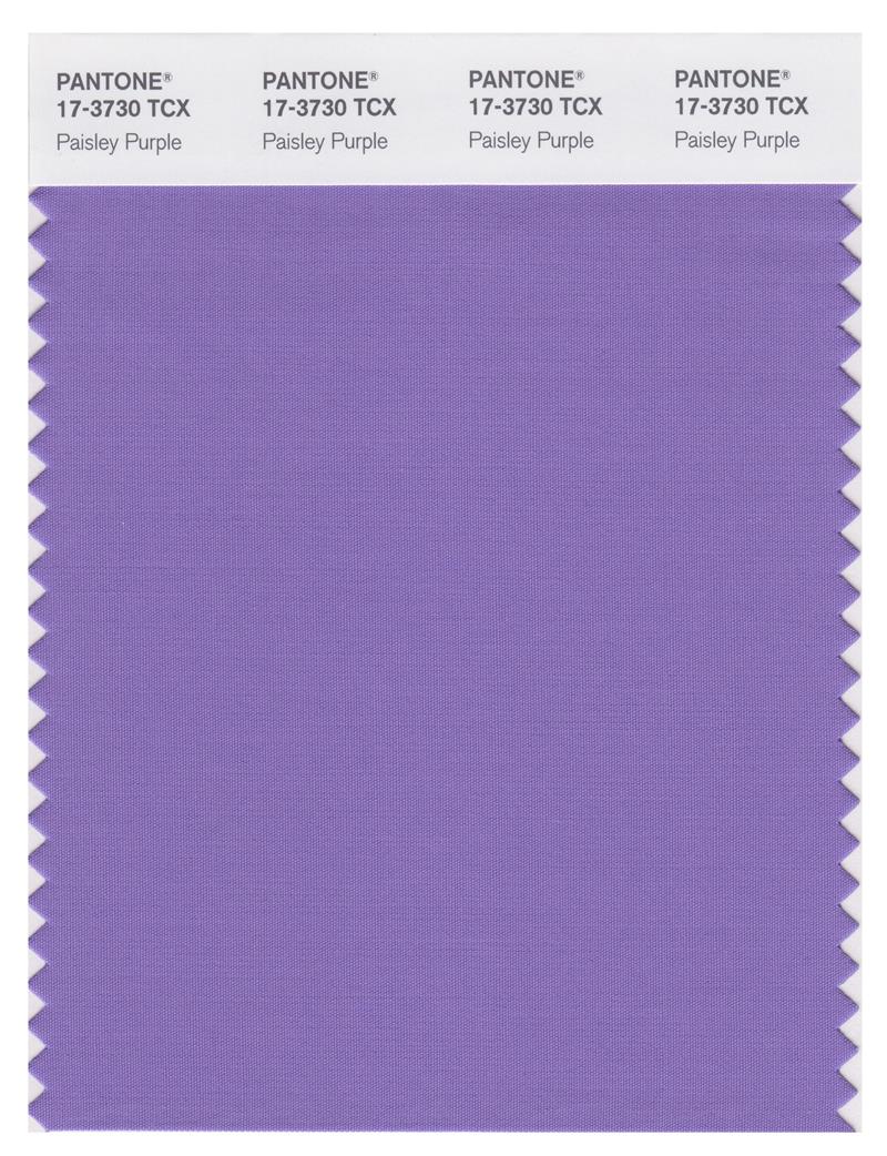 Pantone Smart 17-3730 TCX Color Swatch Card | Paisley Purple 