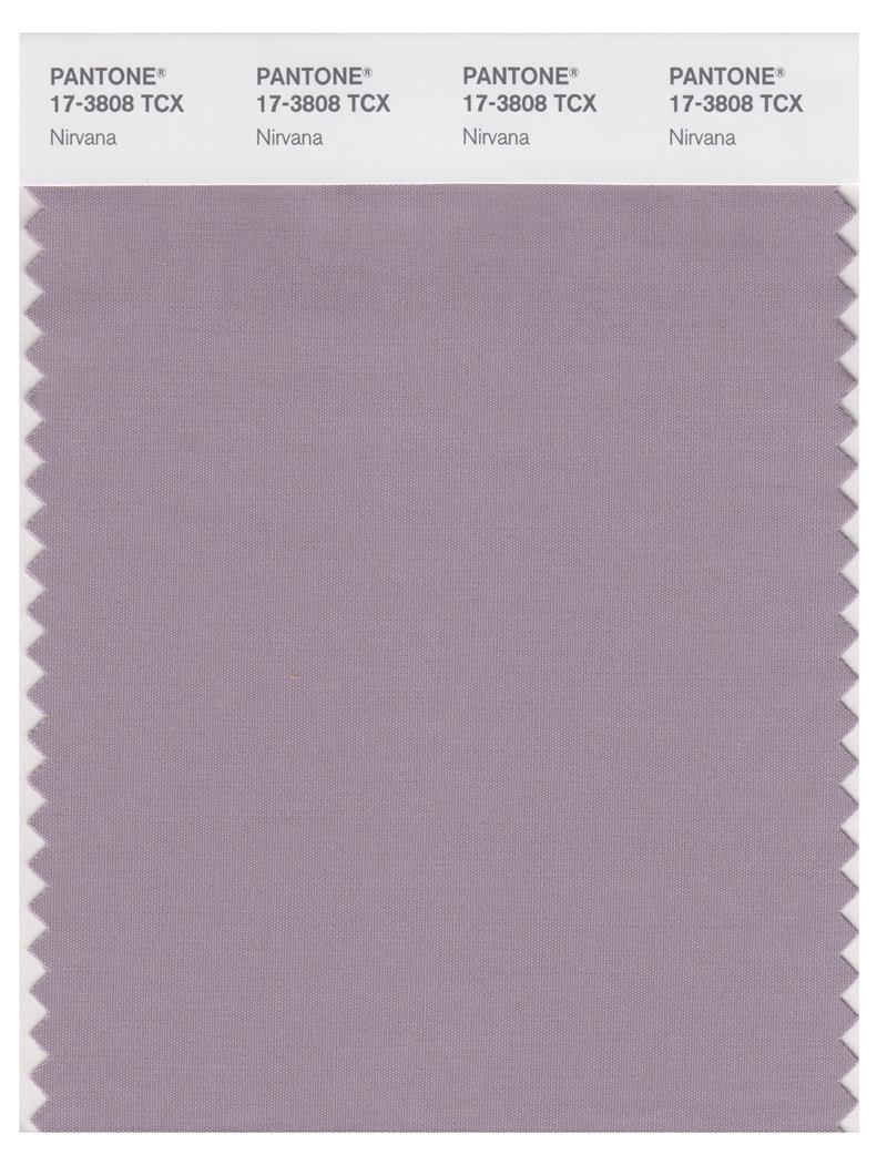 Pantone Smart 17-3808 TCX Color Swatch Card | Nirvana 