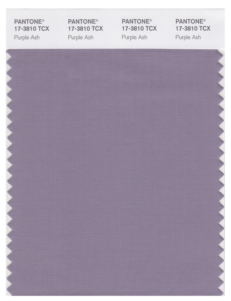 Pantone Smart 17-3810 TCX Color Swatch Card | Purple Ash 