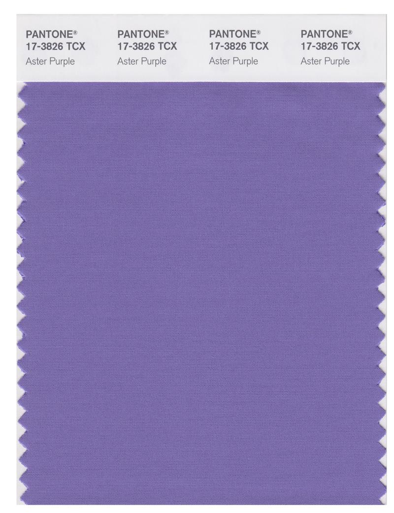 Pantone Smart 17-3826 TCX Color Swatch Card | Aster Purple 