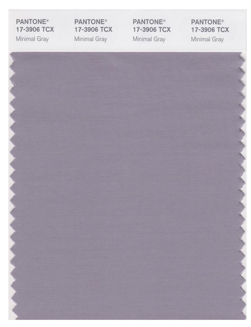 Pantone Smart 17-3906  TCX Color Swatch Card | Minimal Gray 