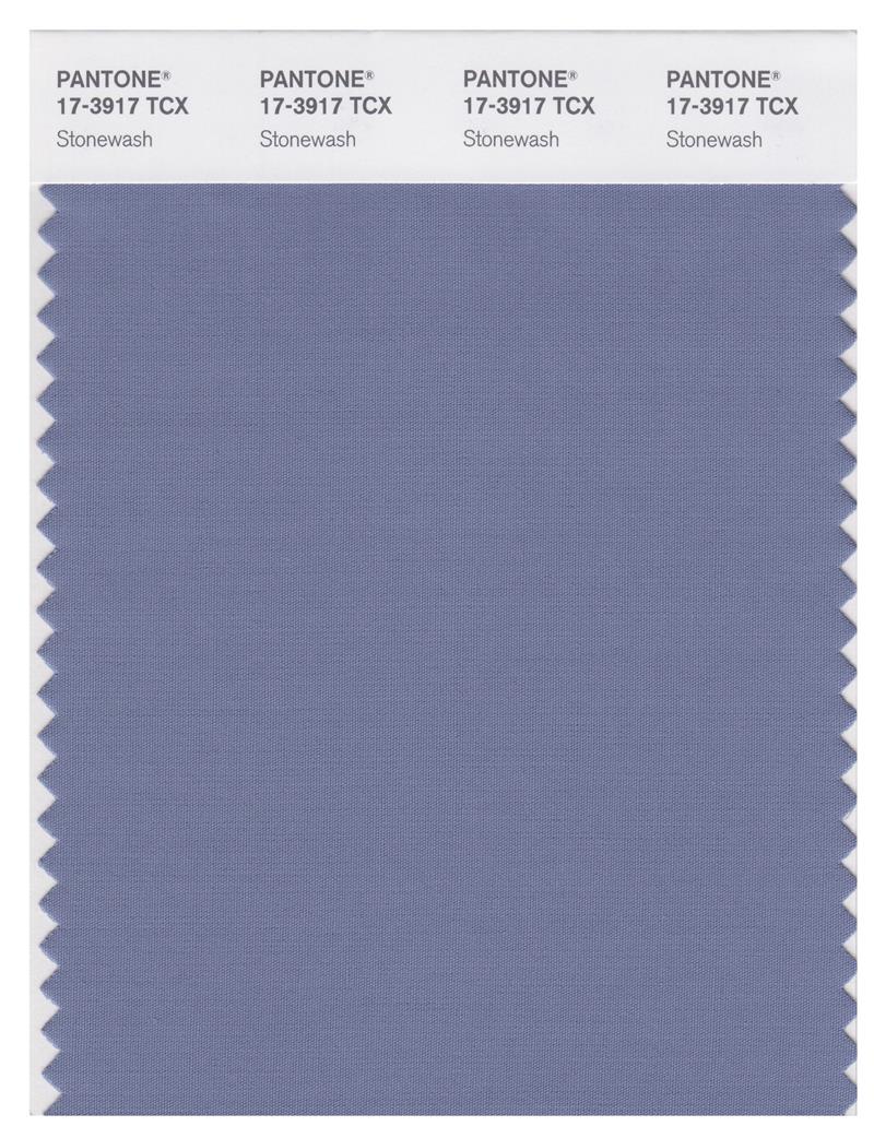 Pantone Smart 17-3917 TCX Color Swatch Card | Stonewash 